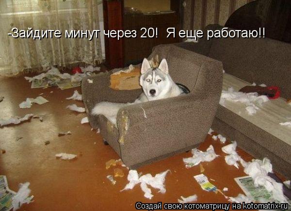 Котоматрица: -Зайдите минут через 20!  Я еще работаю!!