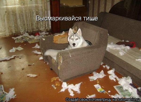 Котоматрица: Высмаркивайся тише