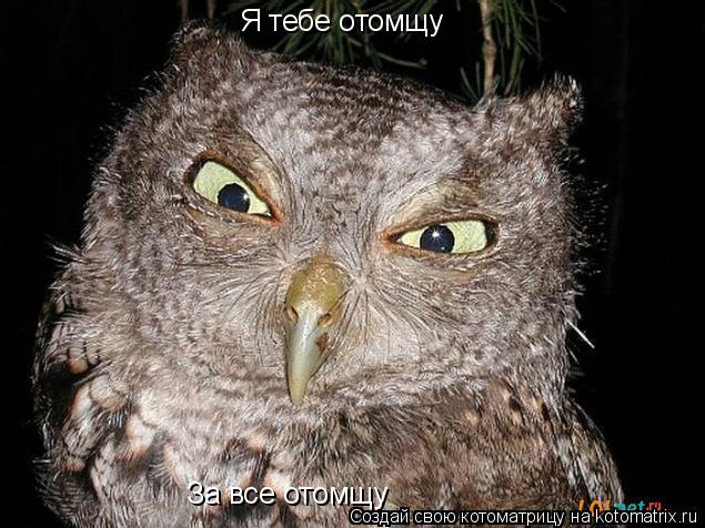 Котоматрица: Я тебе отомщу За все отомщу