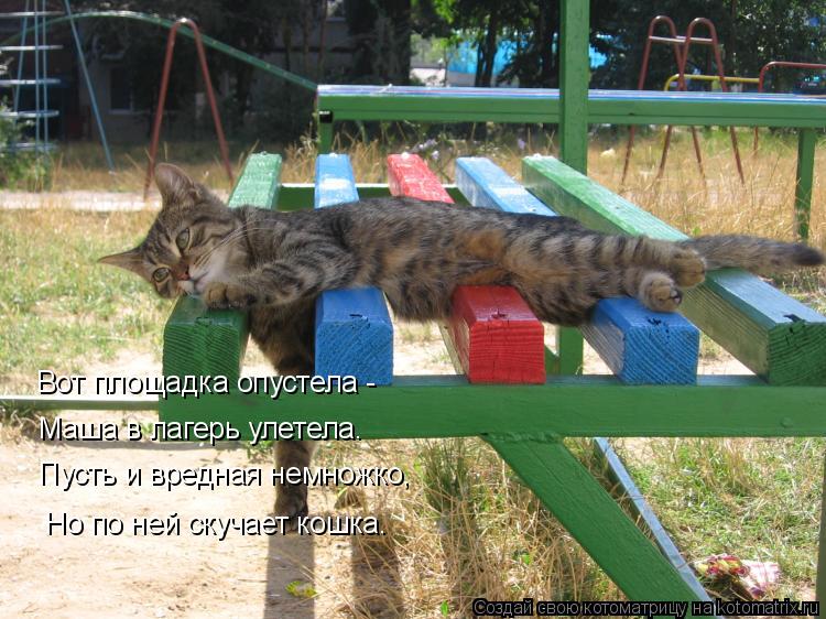 Котоматрица: Вот площадка опустела -  Маша в лагерь улетела.  Пусть и вредная немножко,  Но по ней скучает кошка.