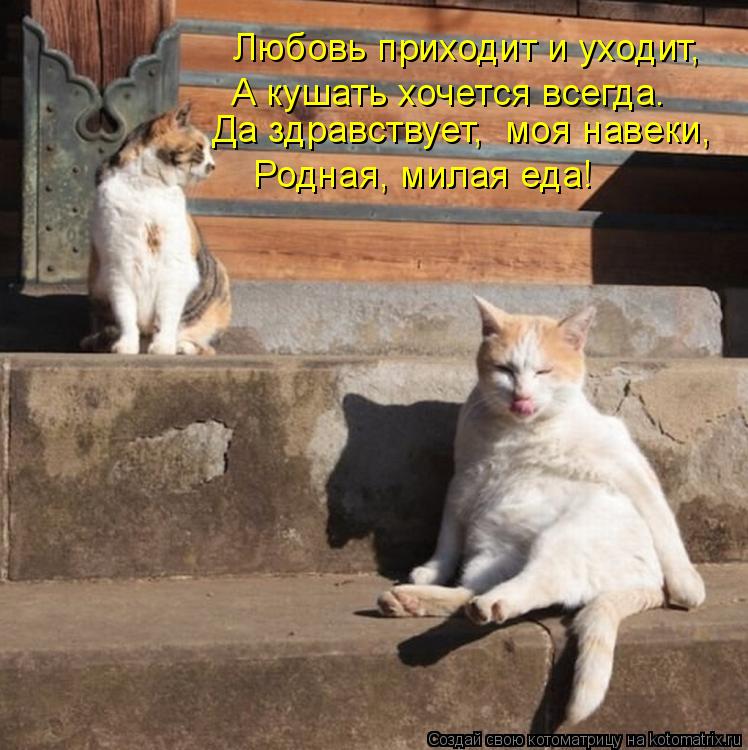 Котоматрица: Любовь приходит и уходит, А кушать хочется всегда. Да здравствует,  моя навеки, Родная, милая еда!
