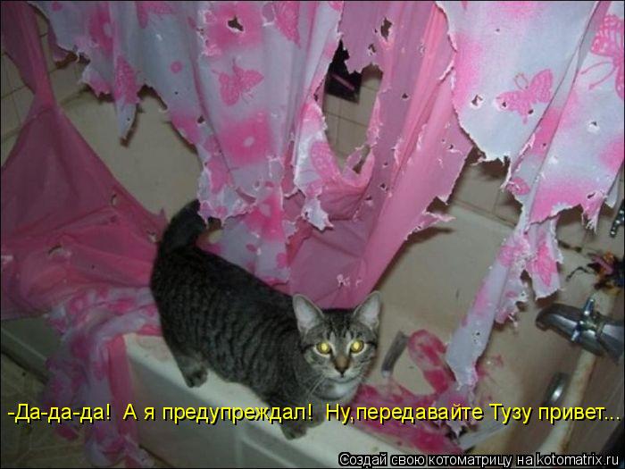Котоматрица: -Да-да-да!  А я предупреждал!  Ну,передавайте Тузу привет...