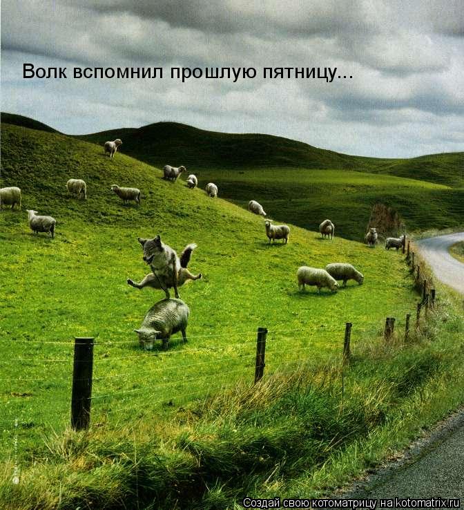 Котоматрица: Волк вспомнил прошлую пятницу...