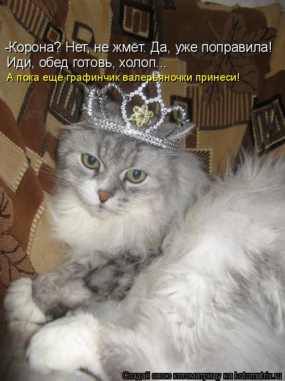 Котоматрица: -Корона? Нет, не жмёт. Да, уже поправила!  Иди, обед готовь, холоп... А пока еще графинчик валерьяночки принеси!