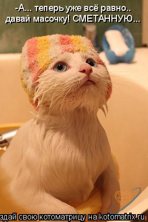 Котоматрица: -А... теперь уже всё равно..  давай масочку! СМЕТАННУЮ...