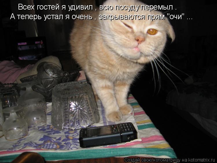 Котоматрица: Всех гостей я удивил , всю посуду перемыл . А теперь устал я очень , закрываются прям "очи" ...