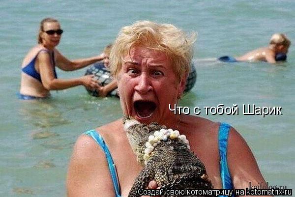 Котоматрица: Что с тобой Шарик