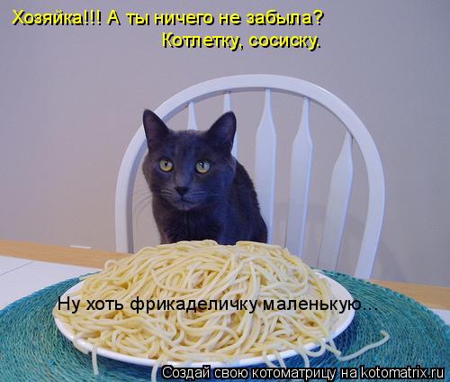 Котоматрица: Хозяйка!!! А ты ничего не забыла? Котлетку, сосиску. Ну хоть фрикаделичку маленькую...