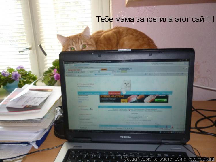 Котоматрица: Тебе мама запретила этот сайт!!!
