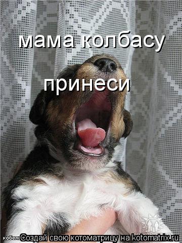 Котоматрица: мама колбасу  принеси