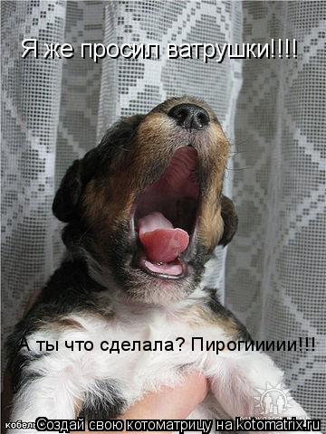 Котоматрица: Я же просил ватрушки!!!! А ты что сделала? Пирогиииии!!!