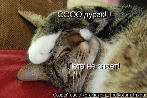 Котоматрица: ОООО дурак!!! Лета не знает!