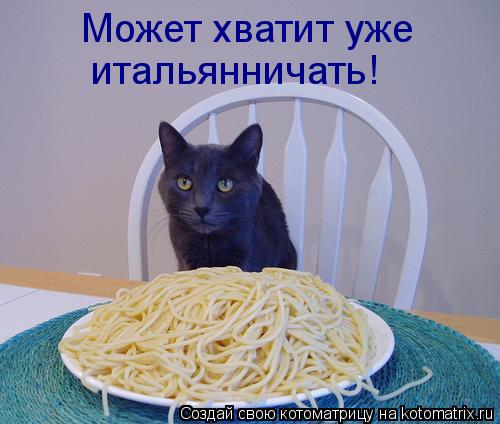 Котоматрица: Может хватит уже  итальянничать!