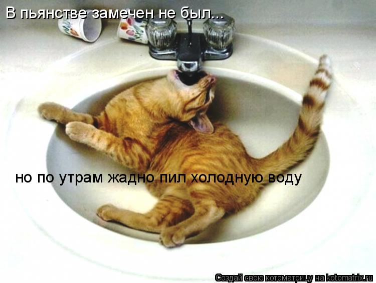 Котоматрица: В пьянстве замечен не был... но по утрам жадно пил холодную воду