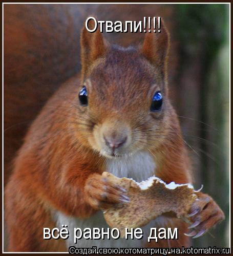 Котоматрица: Отвали!!!! всё равно не дам