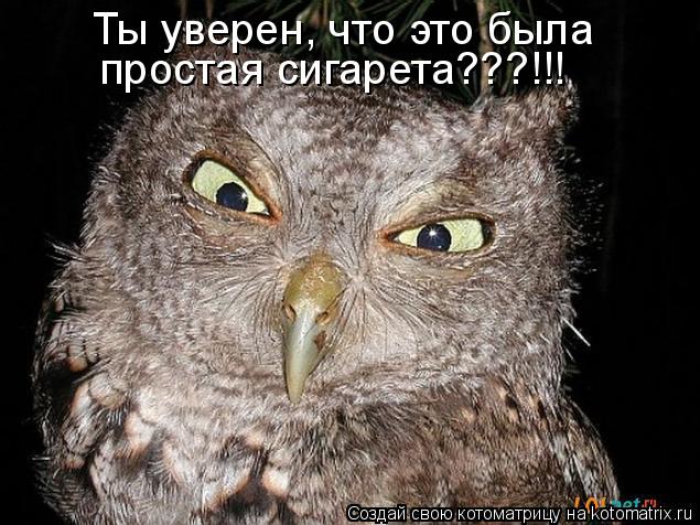 Котоматрица: Ты уверен, что это была простая сигарета???!!!