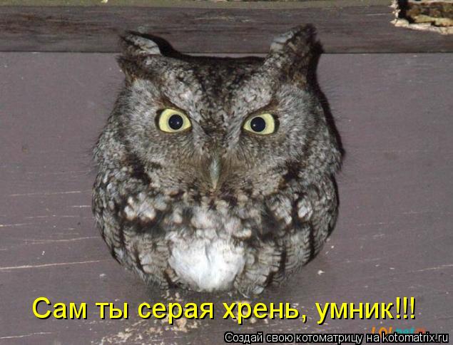 Котоматрица: Сам ты серая хрень, умник!!!