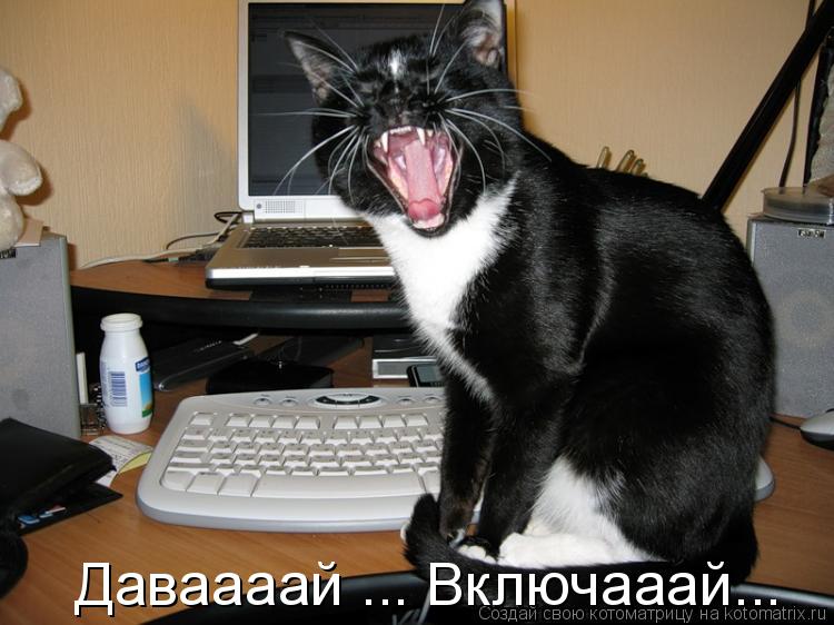 Котоматрица: Даваааай ... Включааай...