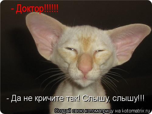 Котоматрица: - Доктор!!!!!! - Да не кричите так! Слышу, слышу!!!
