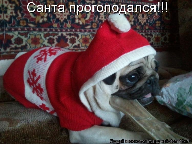 Котоматрица: Санта проголодался!!!
