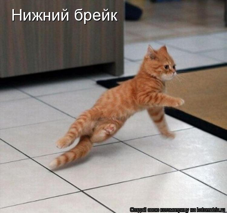 Котоматрица: Нижний брейк