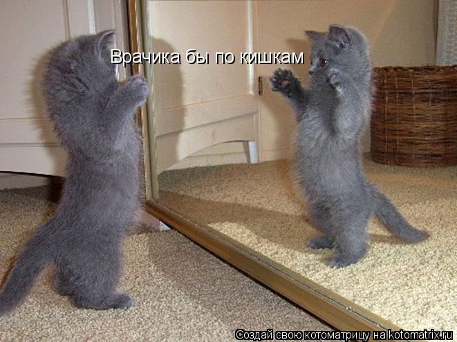 Котоматрица: Врачика бы по кишкам