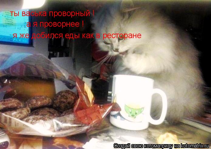 Котоматрица: ты васька проворный ! а я проворнее !  я же добился еды как в ресторане