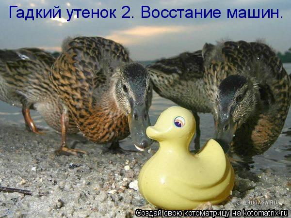 Котоматрица: Гадкий утенок 2. Восстание машин.