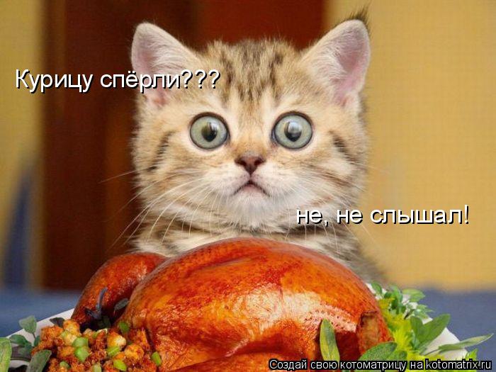 Котоматрица: Курицу спёрли??? не, не слышал!