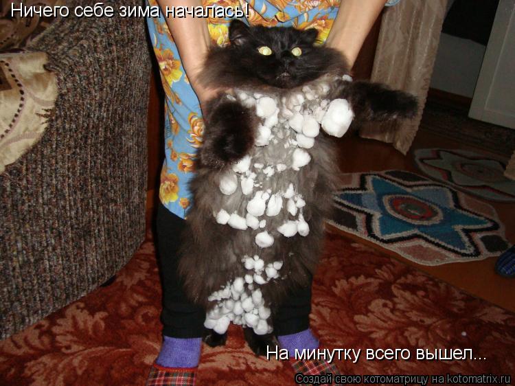 Котоматрица: Ничего себе зима началась!  На минутку всего вышел...