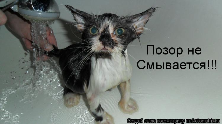 Котоматрица: Смывается!!! Позор не