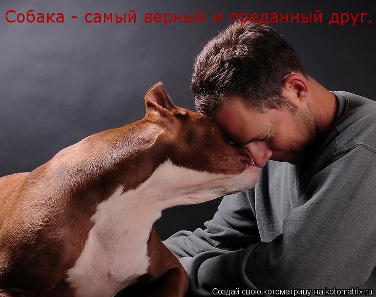 Котоматрица: Собака - самый верный и преданный друг.