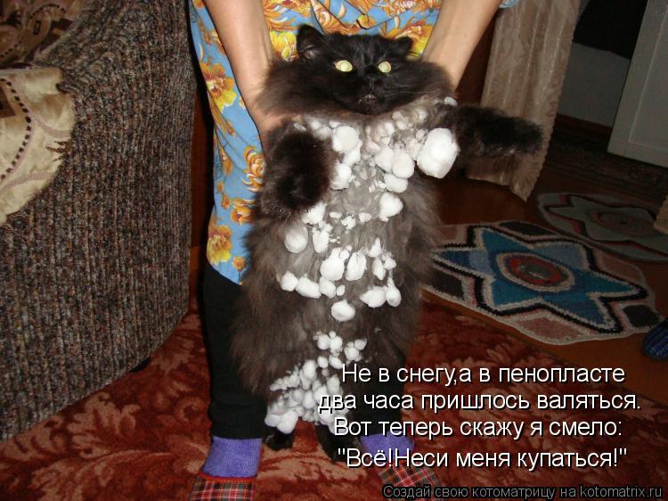 Котоматрица: Не в снегу,а в пенопласте два часа пришлось валяться. Вот теперь скажу я смело: "Всё!Неси меня купаться!"
