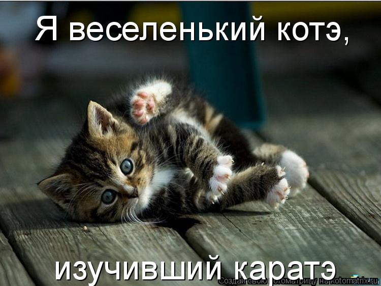 Котоматрица: Я веселенький котэ, изучивший каратэ