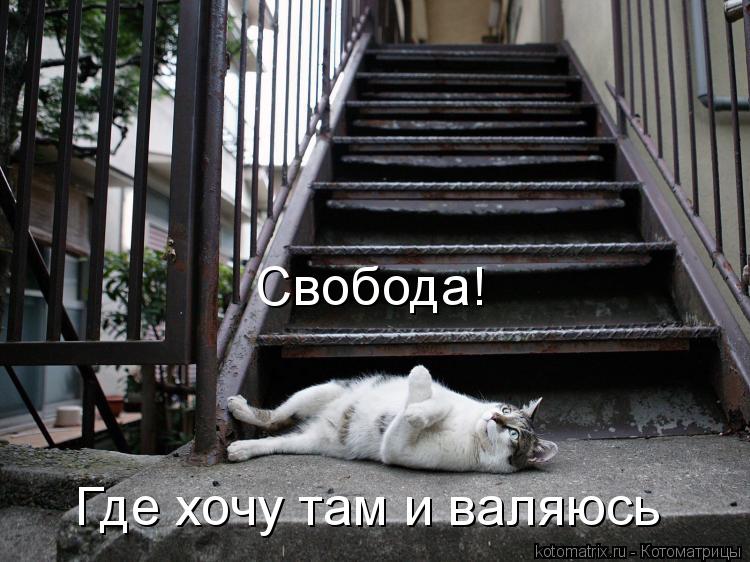 Котоматрица: Свобода! Где хочу там и валяюсь