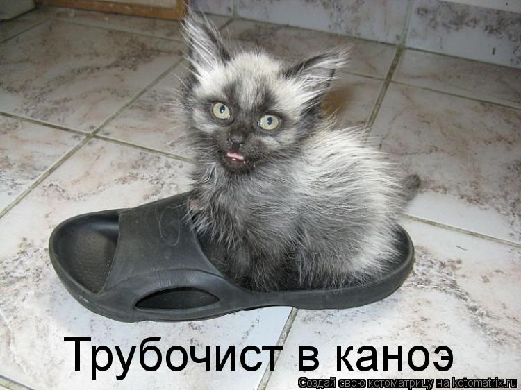 Котоматрица: Трубочист в каноэ