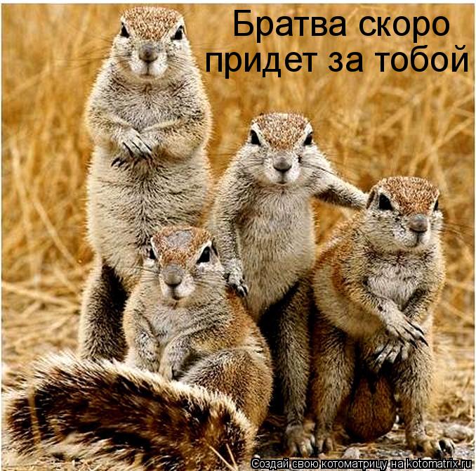 Котоматрица: Братва скоро придет за тобой