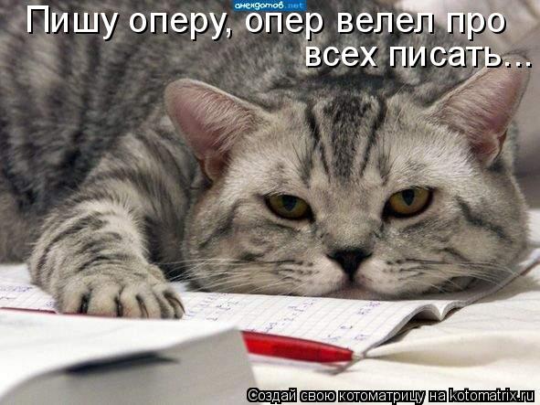 Котоматрица: Пишу оперу, опер велел про всех писать...