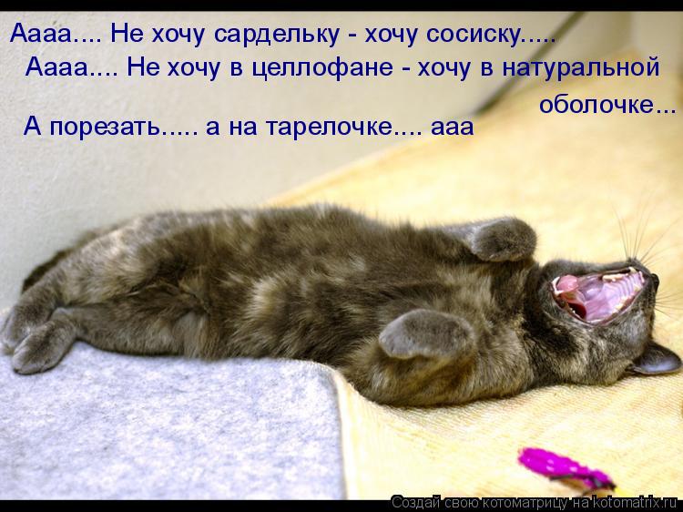 Котоматрица: Аааа.... Не хочу сардельку - хочу сосиску.....     Аааа.... Не хочу в целлофане - хочу в натуральной     А порезать..... а на тарелочке.... ааа оболоч