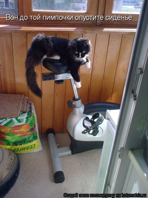 Котоматрица: Вон до той пимпочки опустите сиденье