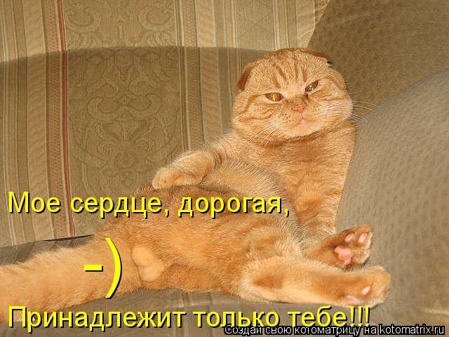 Котоматрица: Мое сердце, дорогая, ) - Принадлежит только тебе!!!