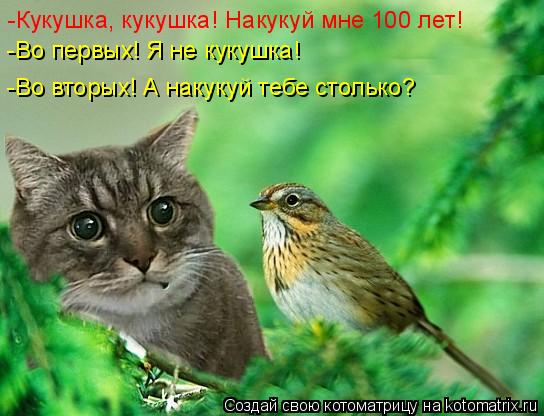 Котоматрица: -Кукушка, кукушка! Накукуй мне 100 лет! -Во первых! Я не кукушка! -Во вторых! А накукуй тебе столько?