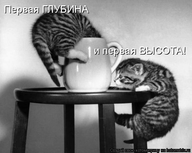 Котоматрица: Первая ГЛУБИНА и первая ВЫСОТА!