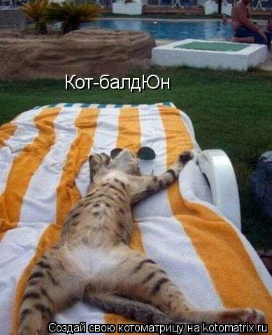 Котоматрица: Кот-балдЮн