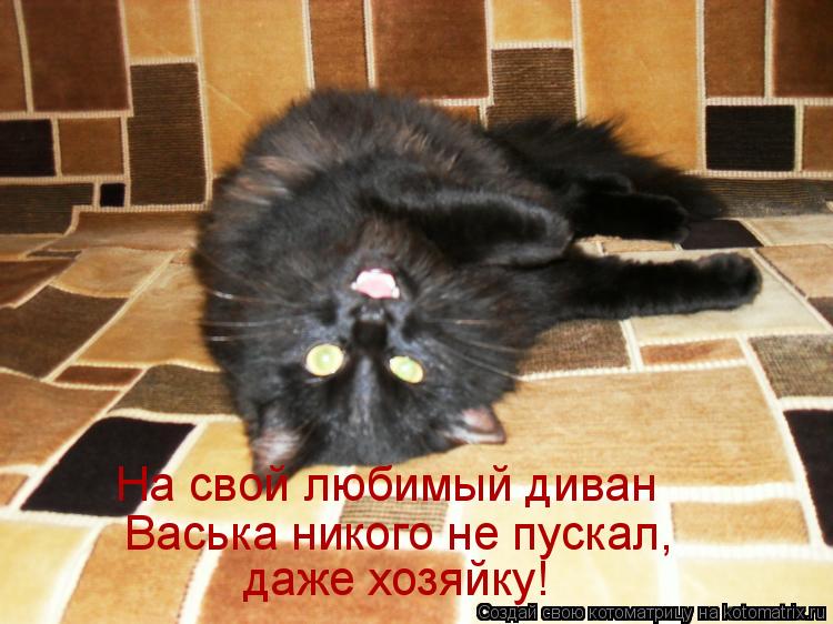 Котоматрица: даже хозяйку! Васька никого не пускал, На свой любимый диван