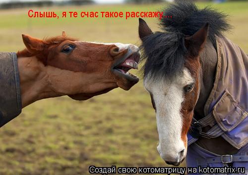 Котоматрица: Слышь Слышь, я те счас такое расскажу....