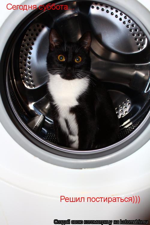 Котоматрица: Сегодня суббота... Решил постираться)))
