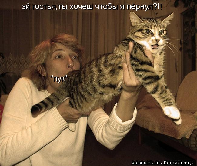 Котоматрица: эй гостья,ты хочеш чтобы я пёрнул?!! "пук"
