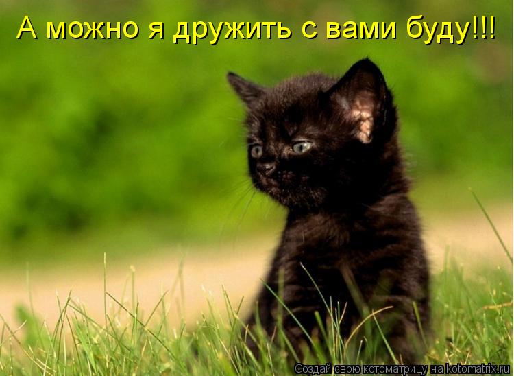 А можно я дружить с вами буду!!!... Котоматрица: А можно я дружить с вами буду!!!