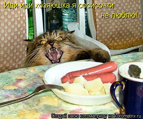 Иди иди хозяюшка я сосисочки не люблю!... Котоматрица: Иди иди хозяюшка я сосисочки не люблю!